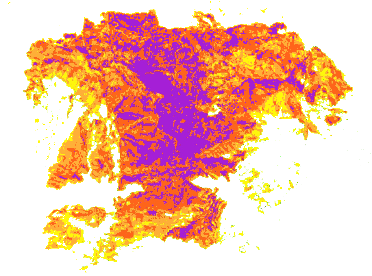 Forest fire image